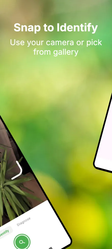 Snap to identify — use camera or gallery