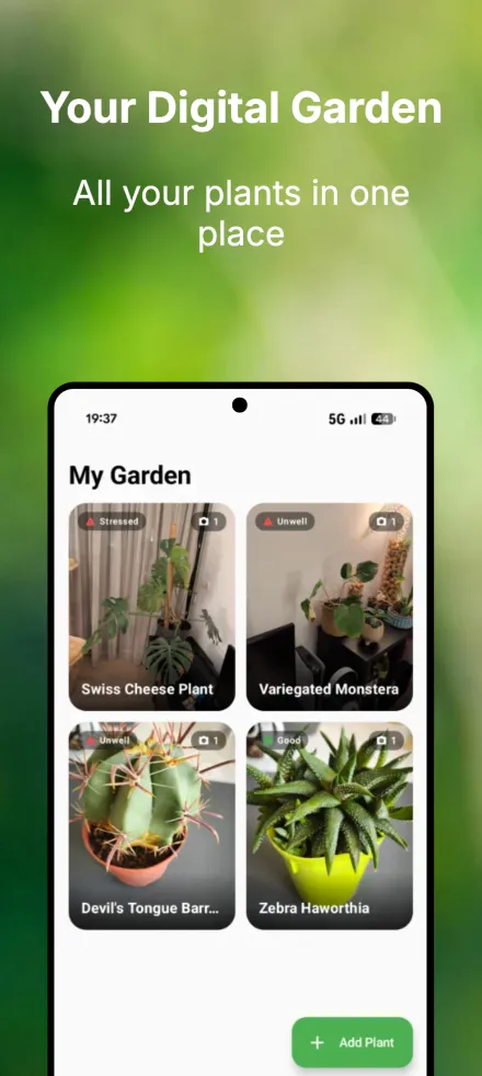 Your digital garden