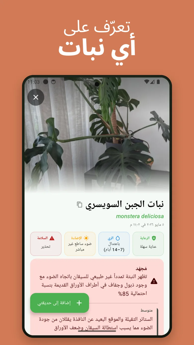 سهل الاستخدام — تعرّف على أي نبات في ثوانٍ