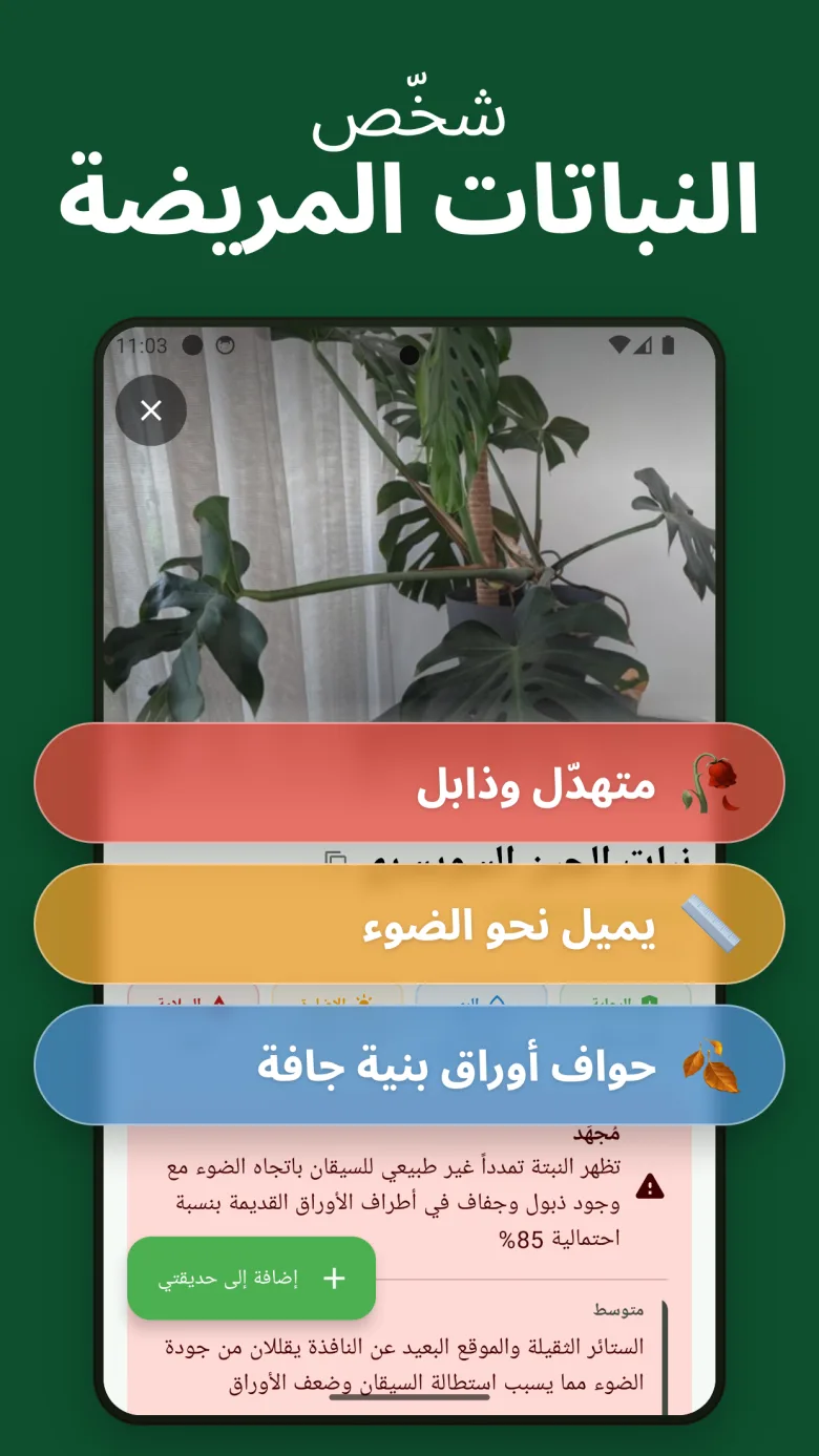 دليل رعاية مفصّل مع معلومات السمية