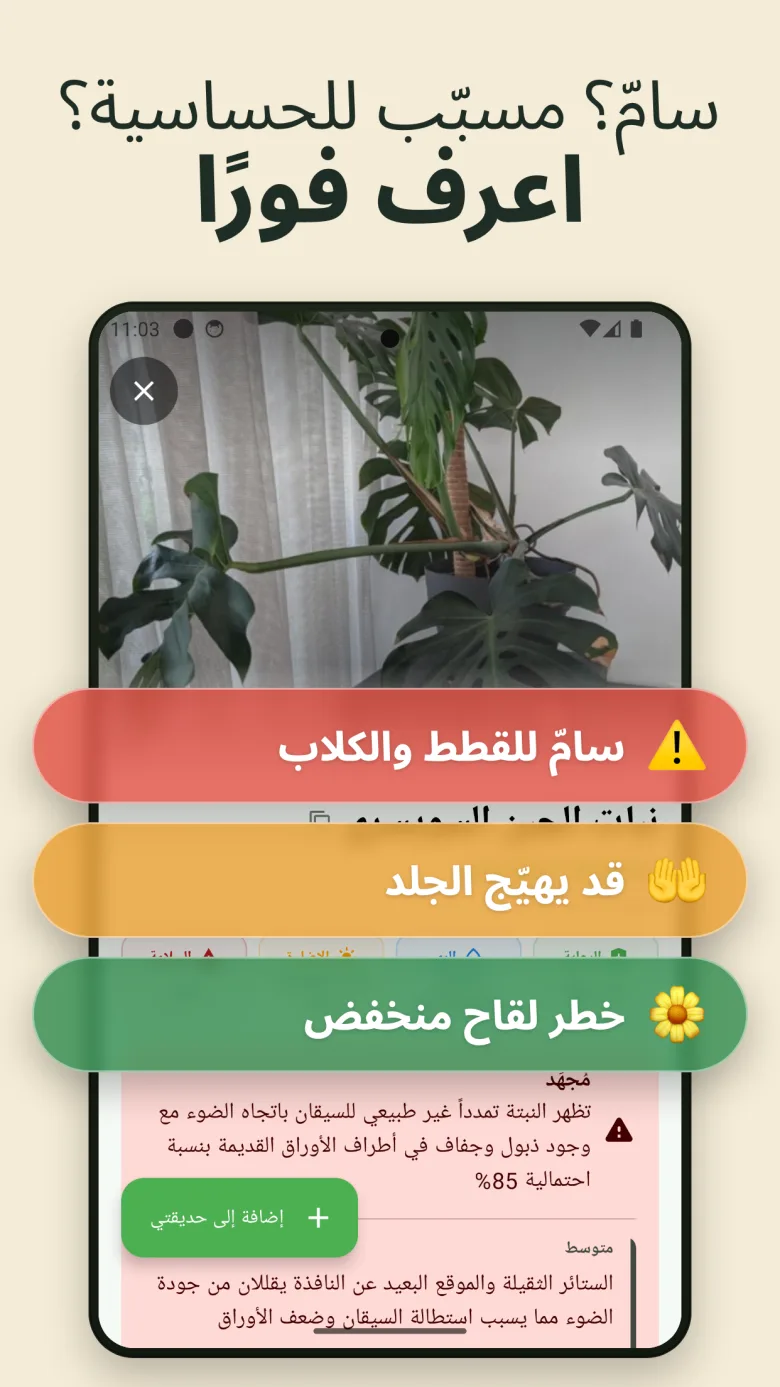 حديقتك الرقمية