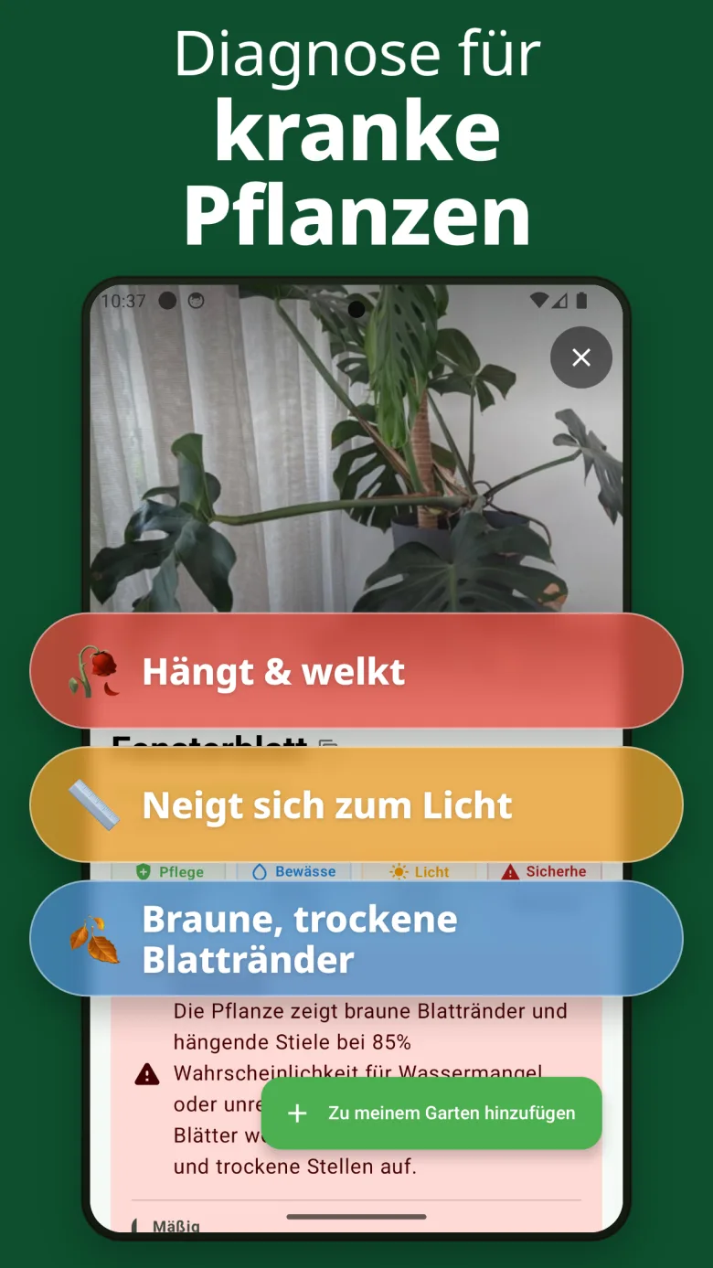 Detaillierte Pflegeanleitung mit Giftigkeitsinfo