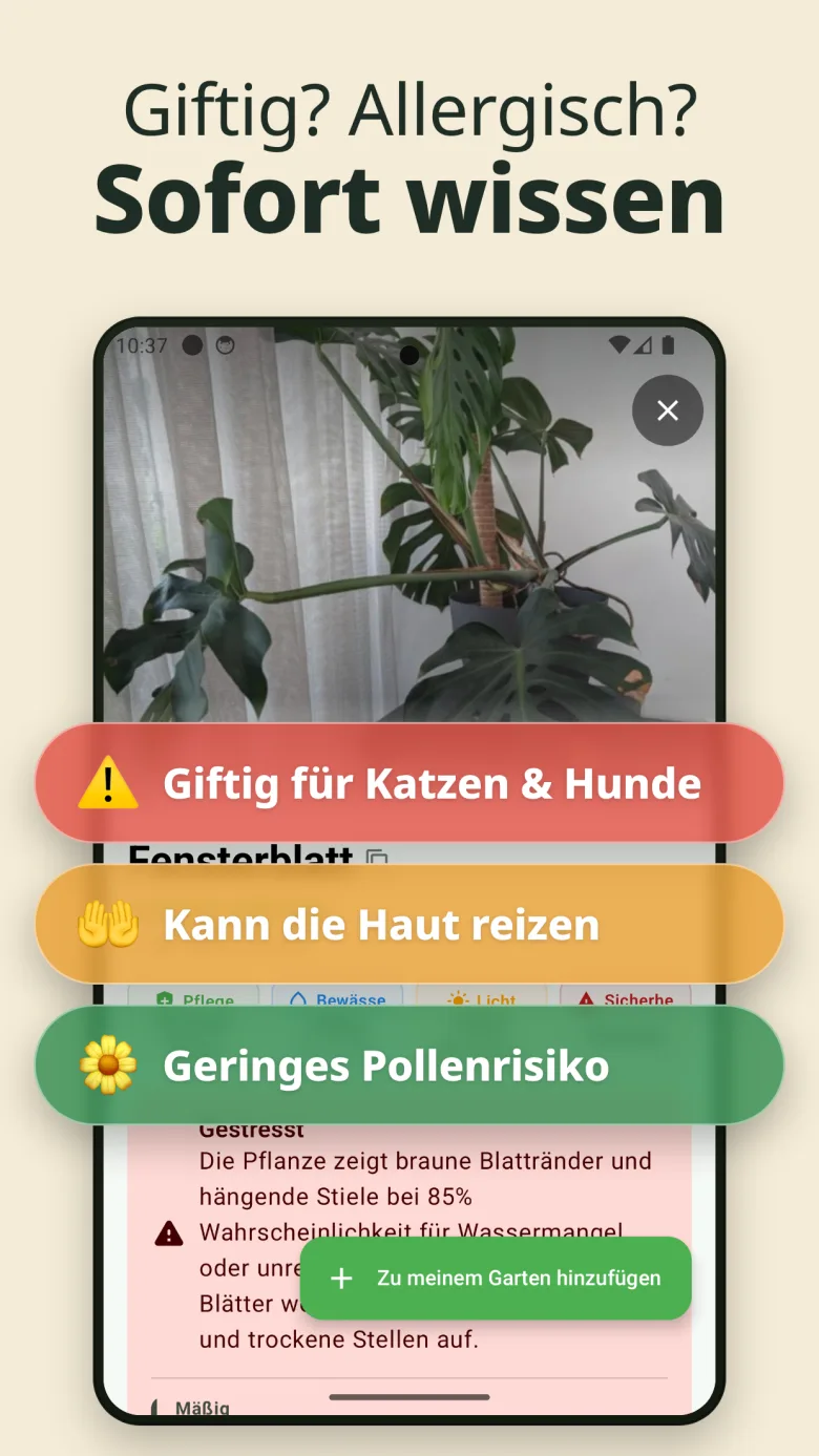 Ihr digitaler Garten