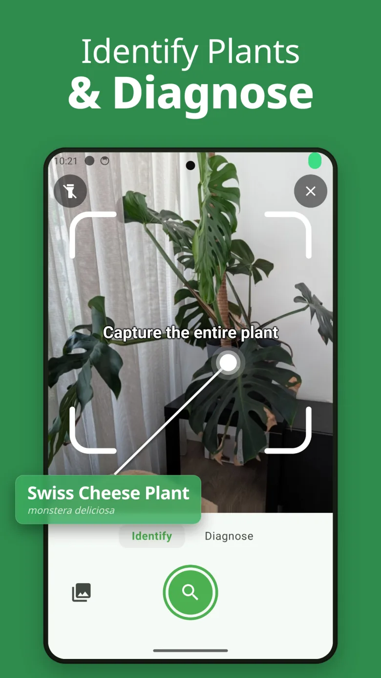 Identify and heal your plants with AI
