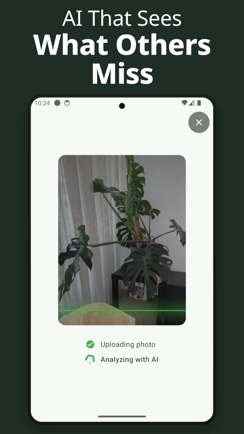 Snap to identify — use camera or gallery