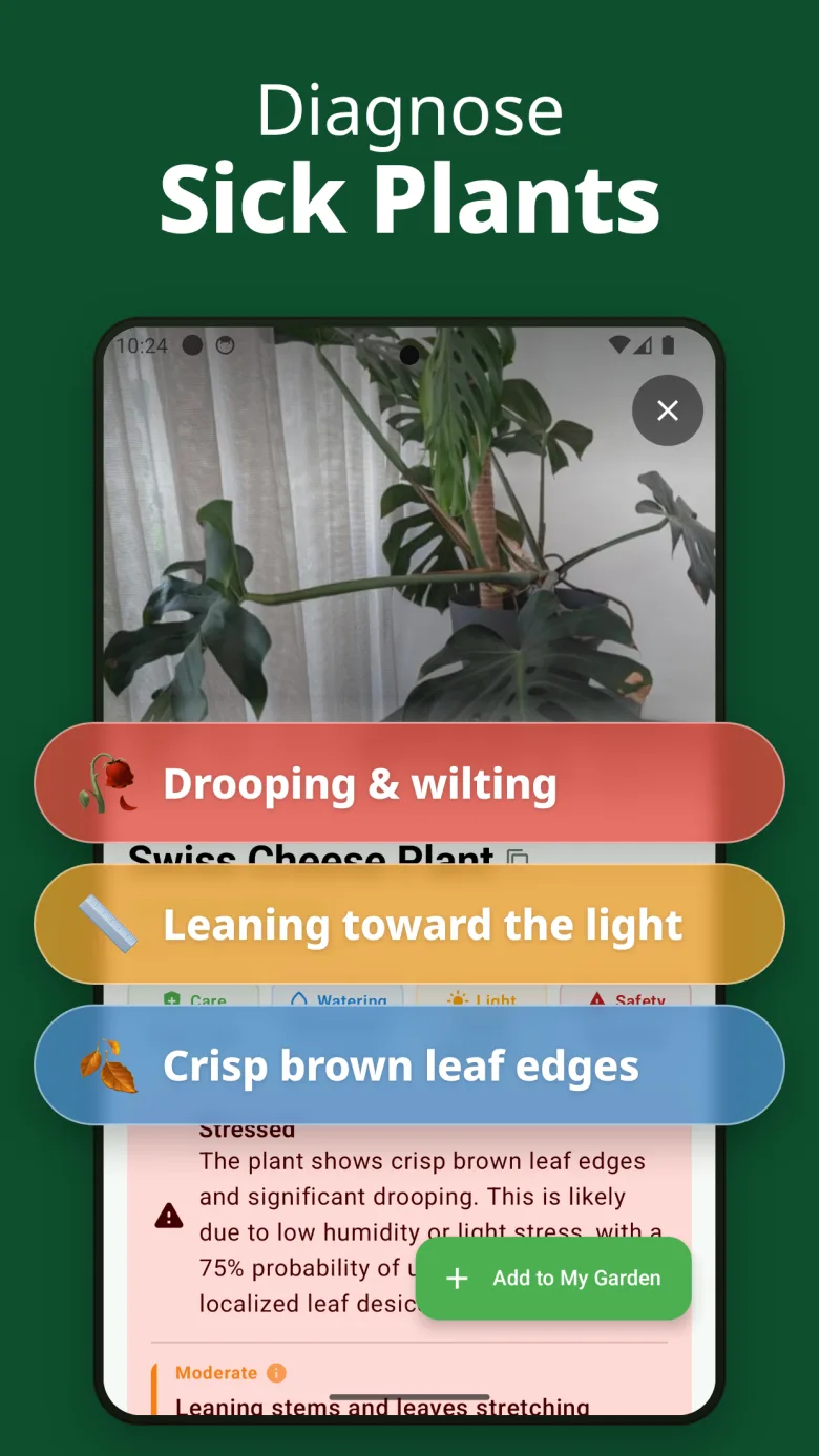 Detailed care guide with toxicity info