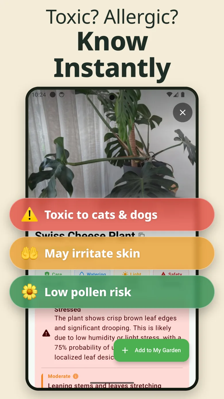 Your digital garden