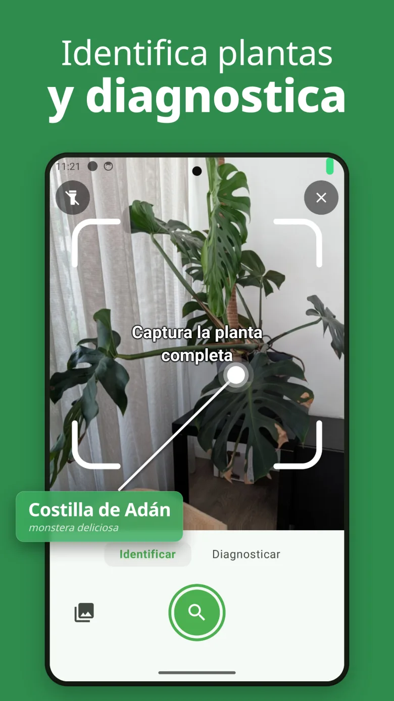 Identifica y cuida tus plantas con AI