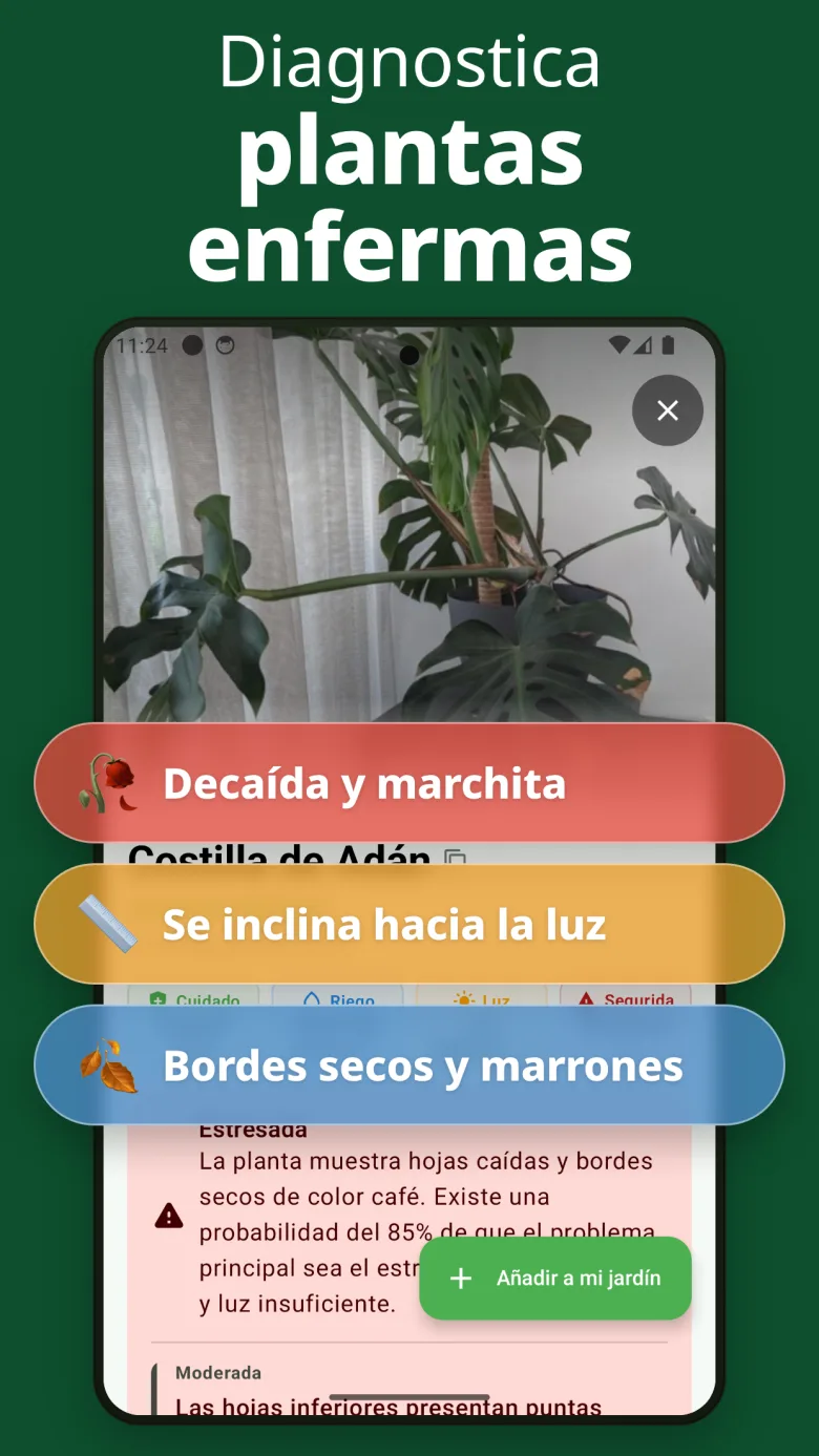 Guía de cuidados detallada con info de toxicidad