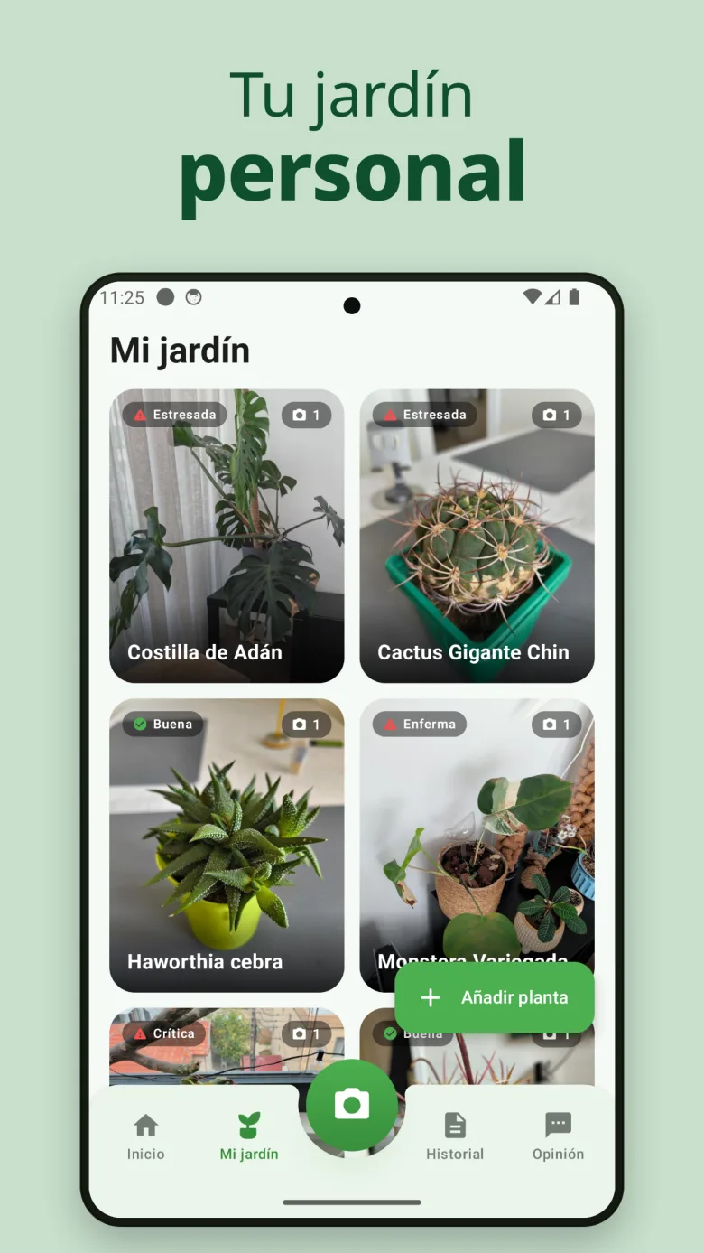 Pantalla de inicio con vista general del jardín