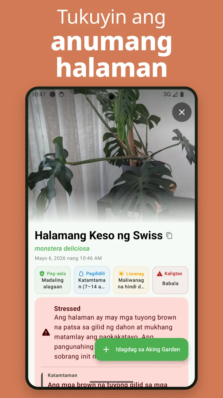 Madaling gamitin — kilalanin ang kahit anong halaman sa ilang segundo