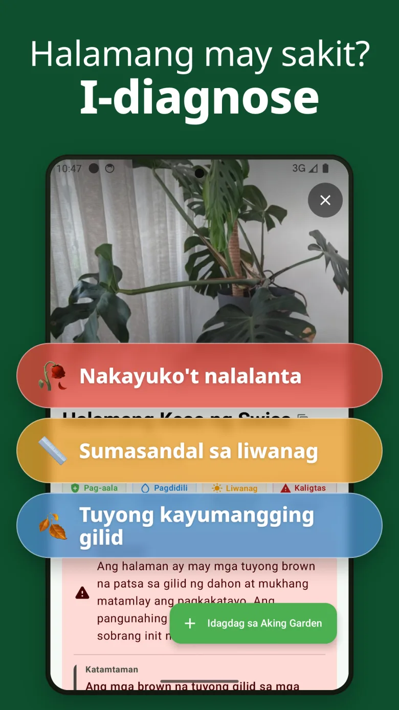Detalyadong gabay sa pag-aalaga na may toxicity info