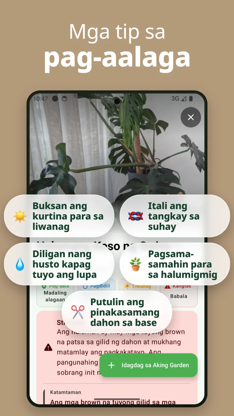 Subaybayan ang kalusugan ng halaman gamit ang scan history