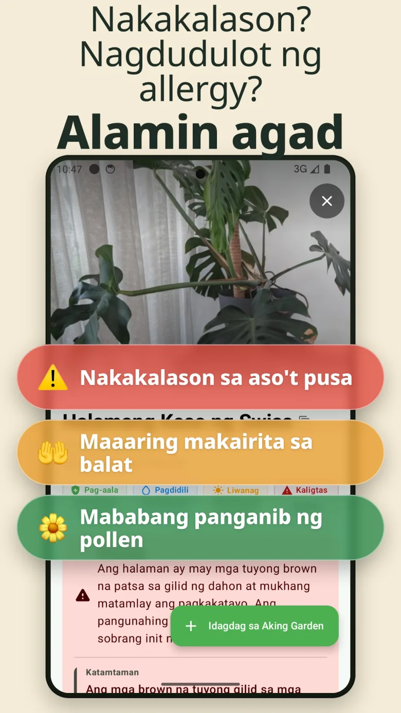 Ang iyong digital na hardin