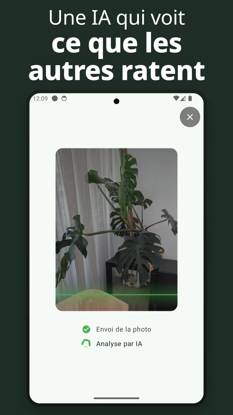 Photographiez pour identifier — utilisez l'appareil photo ou la galerie