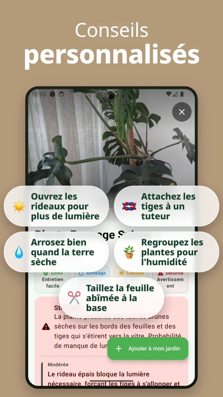 Suivez la santé de vos plantes avec l'historique des scans