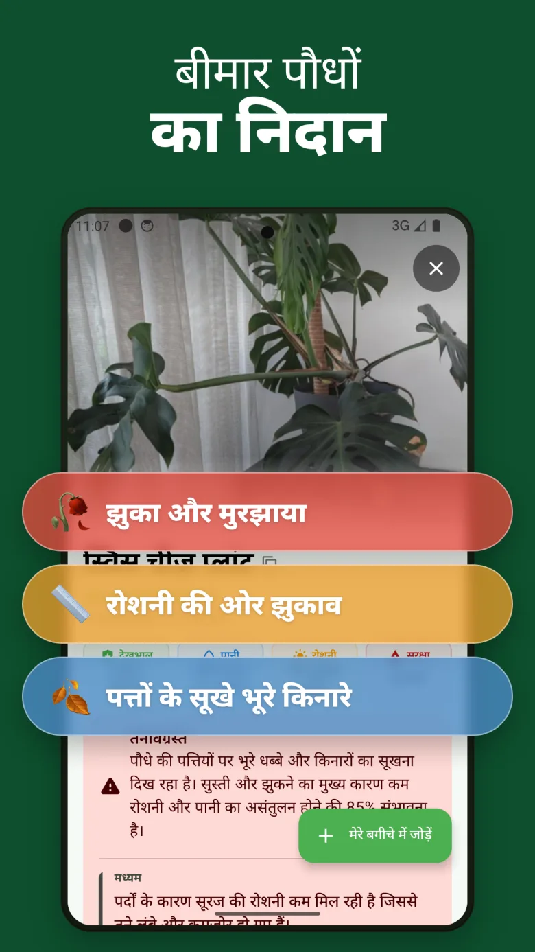 विषाक्तता जानकारी के साथ विस्तृत देखभाल गाइड