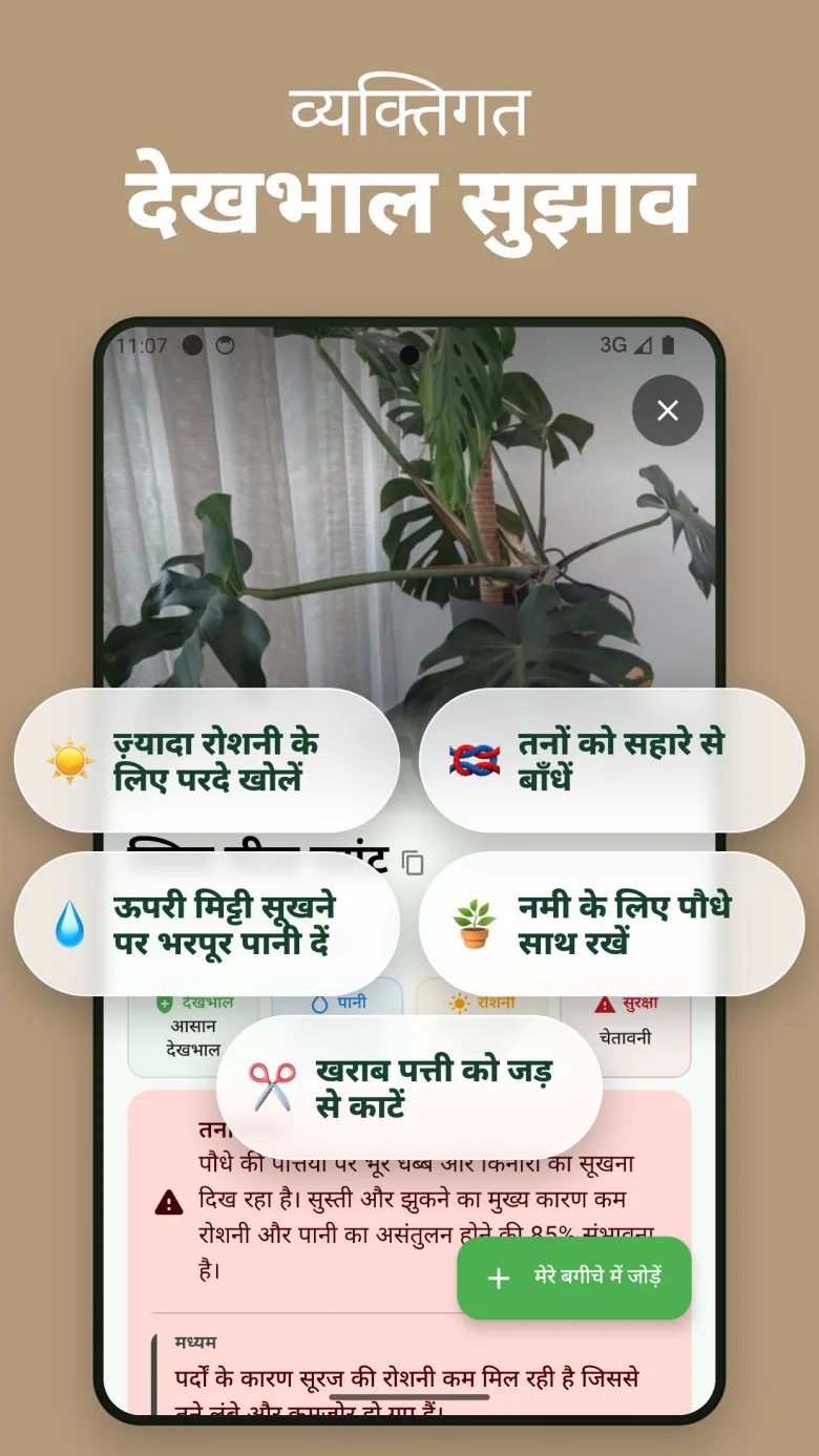 स्कैन इतिहास से पौधे की सेहत पर नज़र रखें