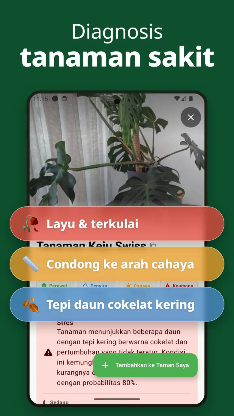 Panduan perawatan detail dengan info toksisitas