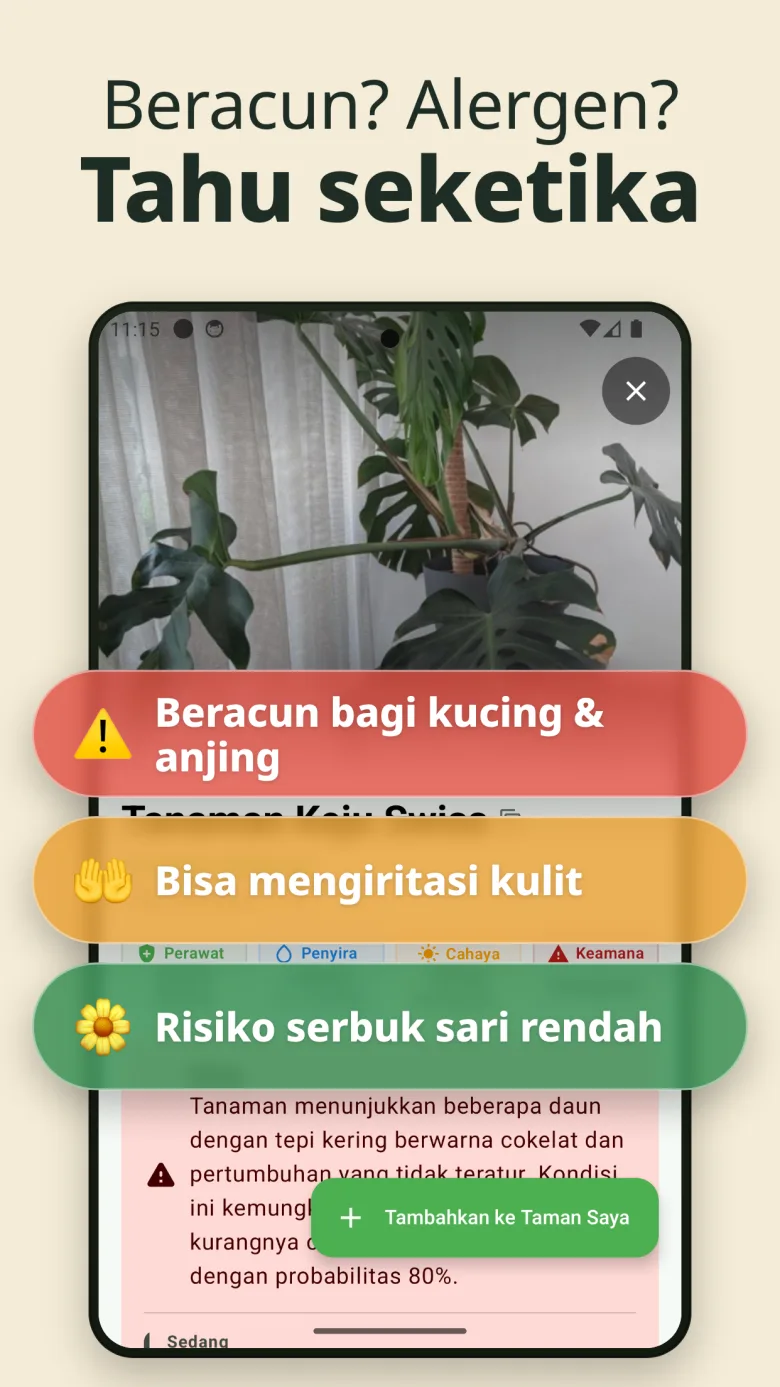 Taman digital Anda