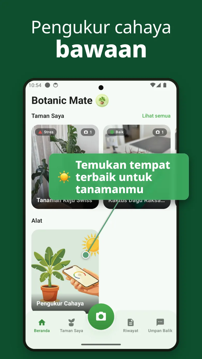 Mulai hari ini