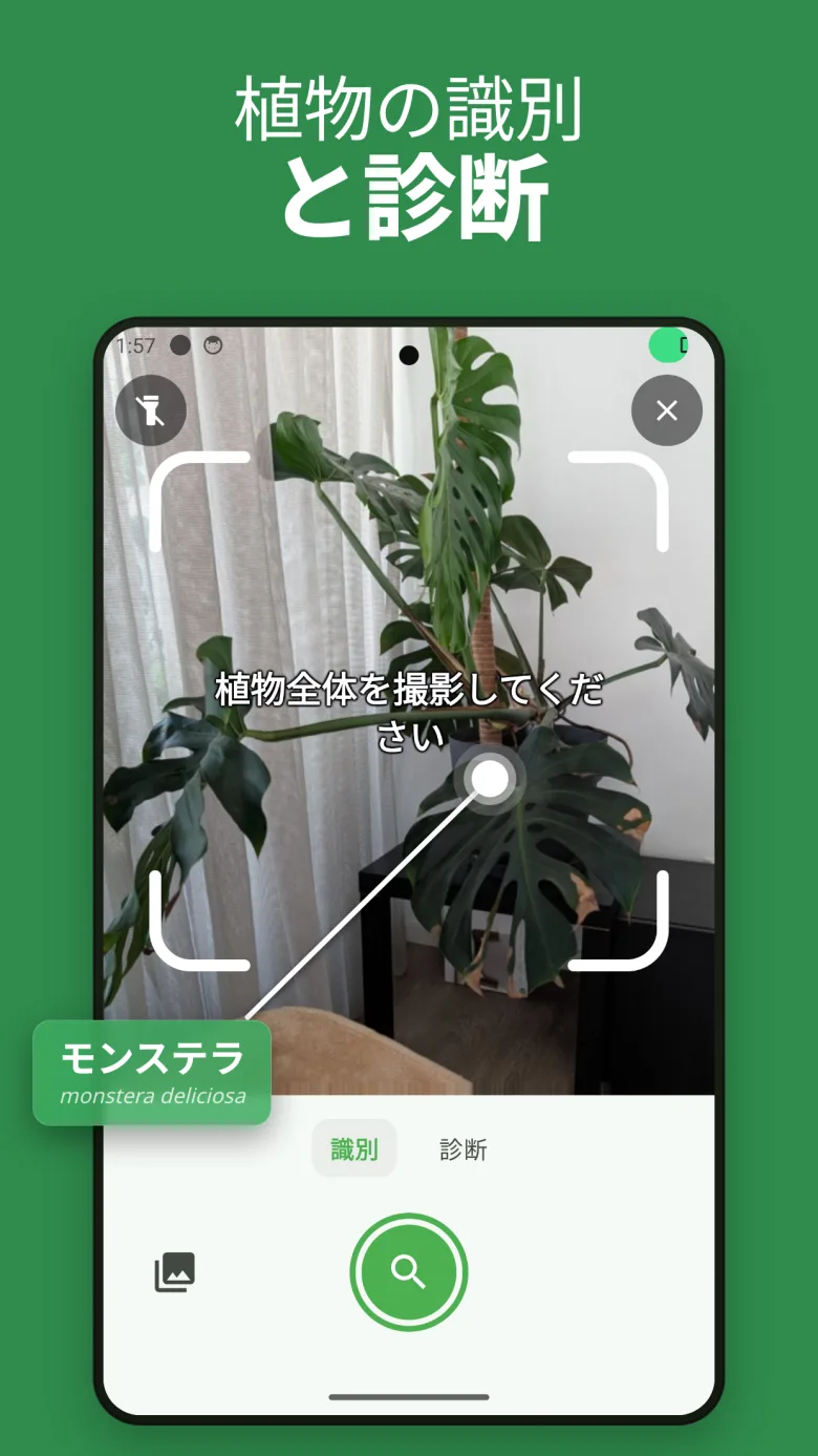 AIで植物を識別してケア