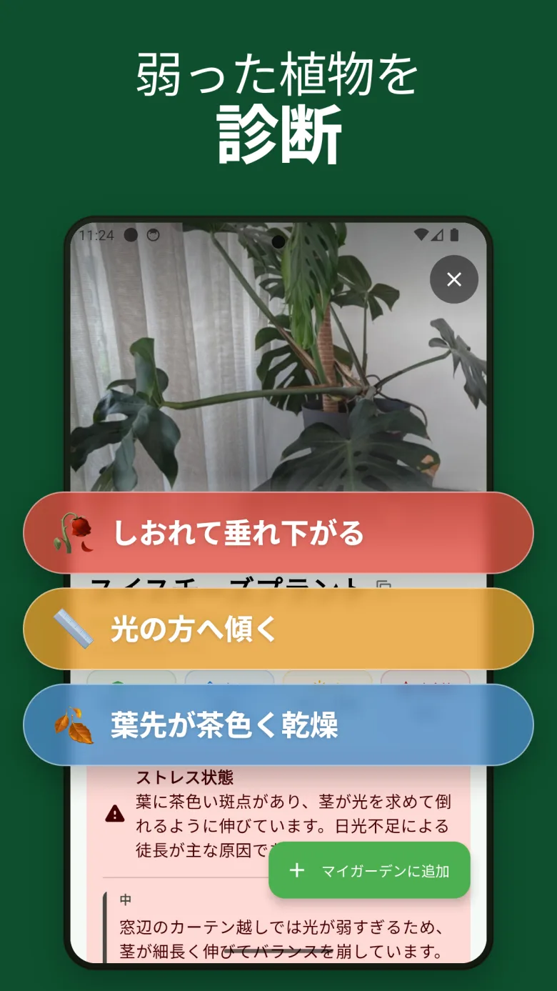 毒性情報付き詳細ケアガイド