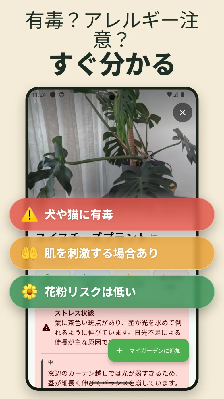 あなたのデジタルガーデン