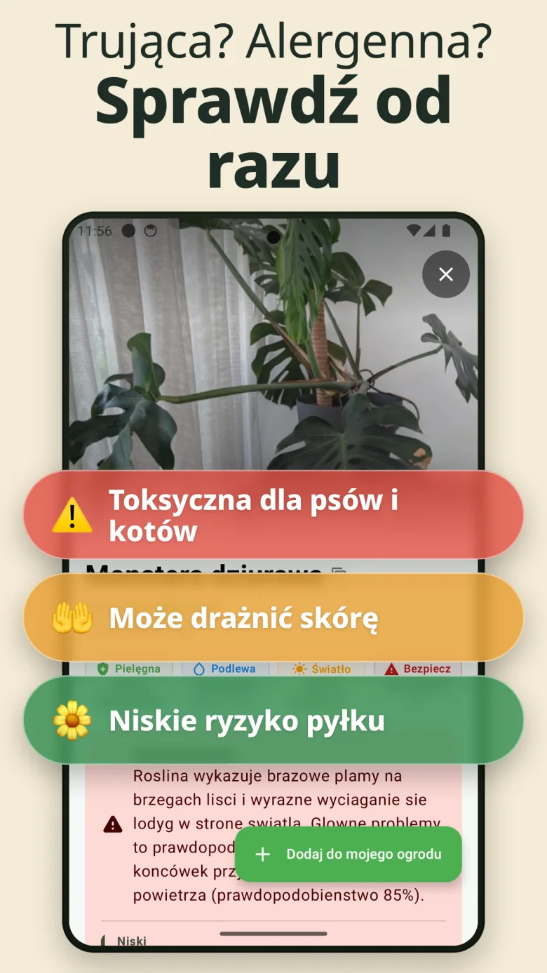 Twój cyfrowy ogród