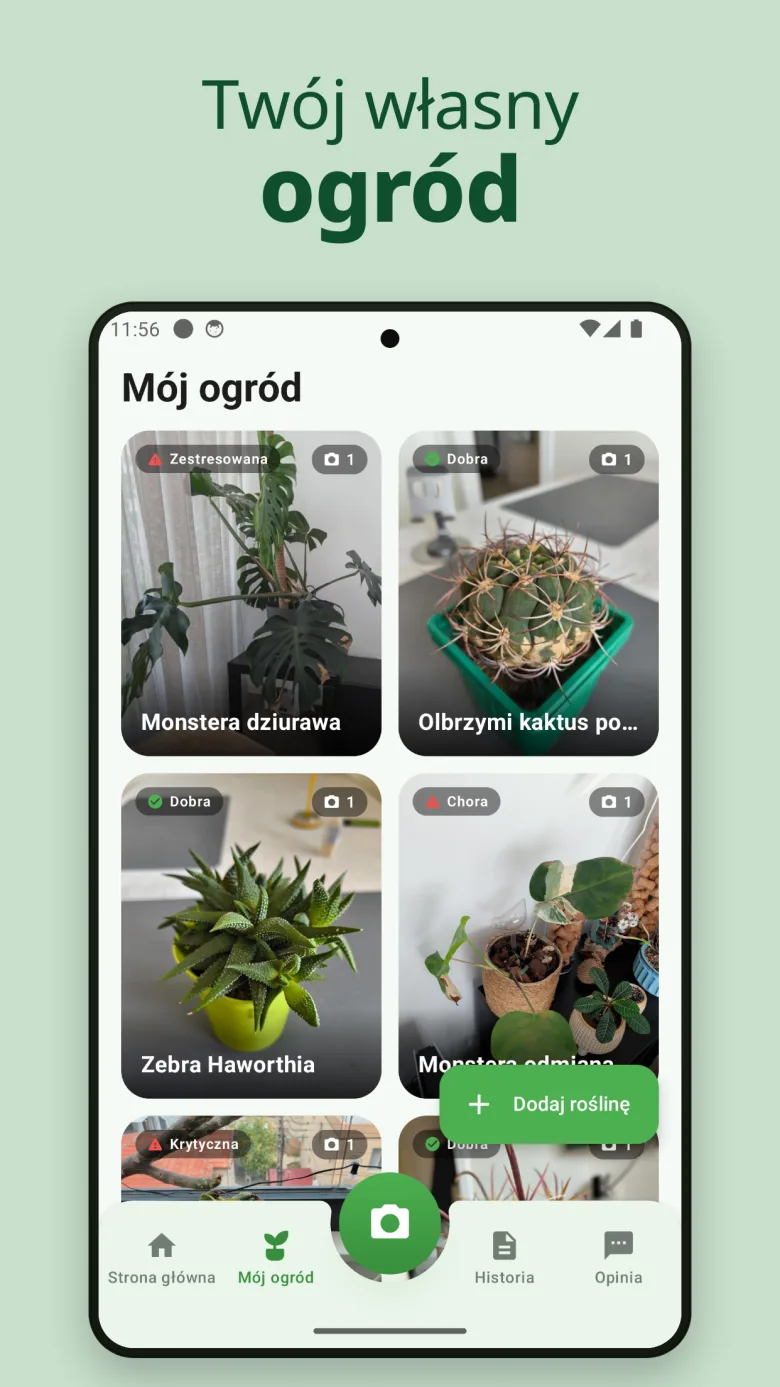 Ekran główny z przeglądem ogrodu