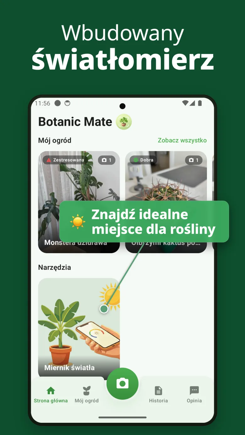 Zacznij już dziś