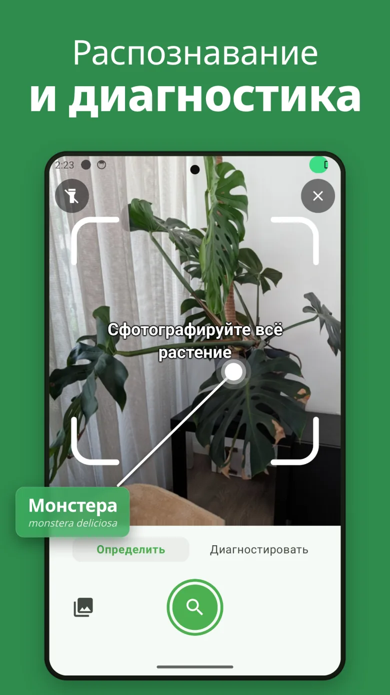 Определяйте и лечите растения с AI
