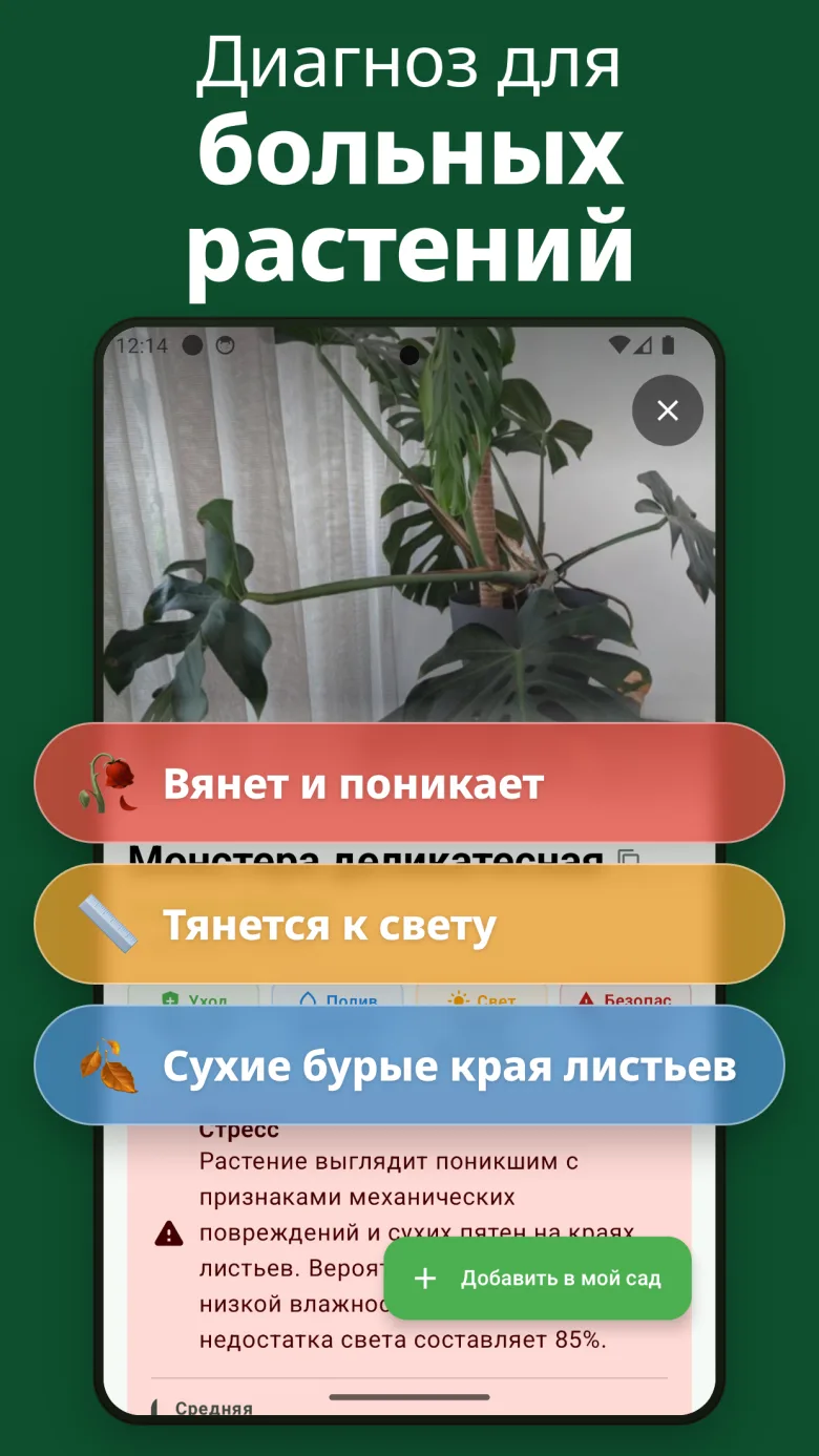 Подробное руководство по уходу с информацией о токсичности