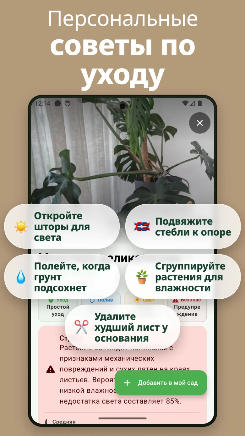 Отслеживайте здоровье растений с историей сканирований
