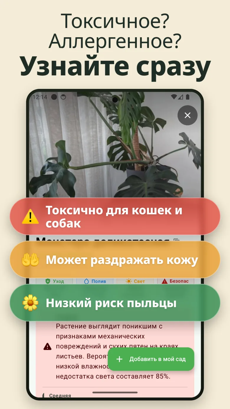 Ваш цифровой сад