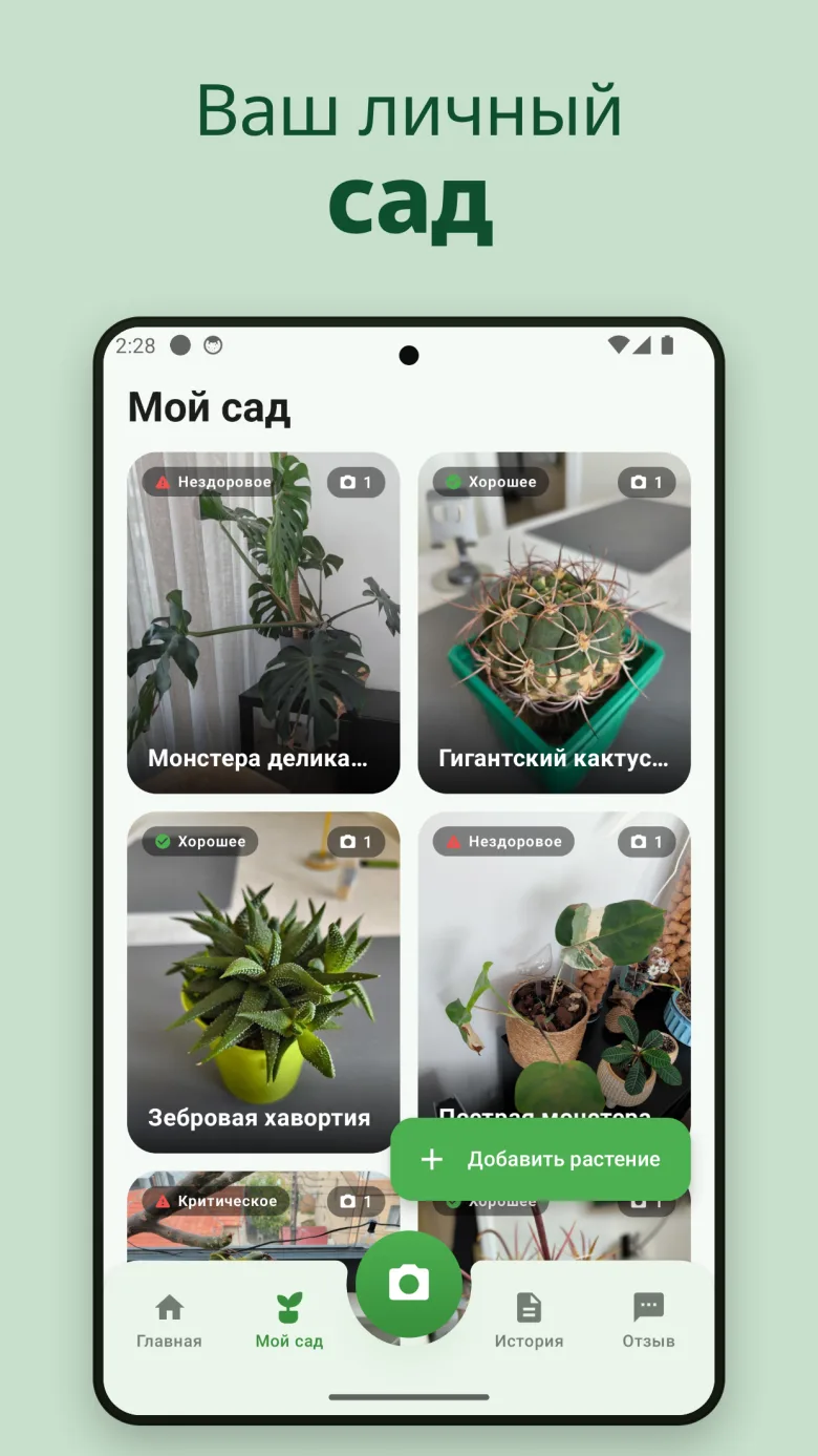 Главный экран с обзором сада
