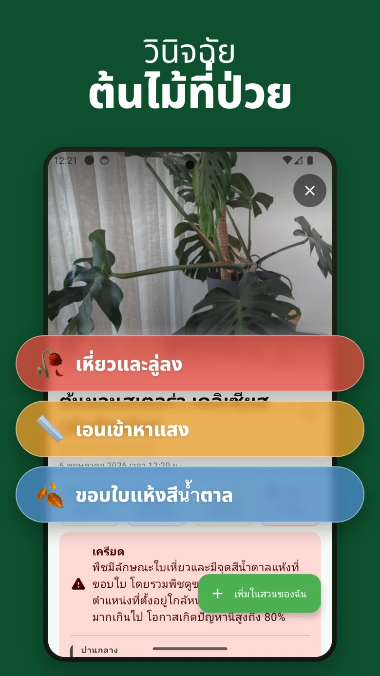 คู่มือดูแลอย่างละเอียดพร้อมข้อมูลความเป็นพิษ