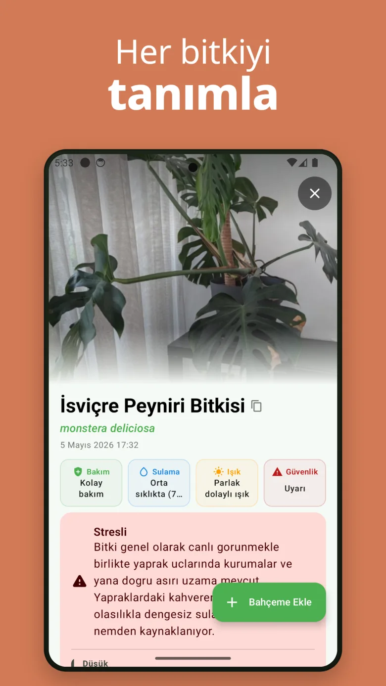Kullanımı kolay — saniyeler içinde herhangi bir bitkiyi tanıyın