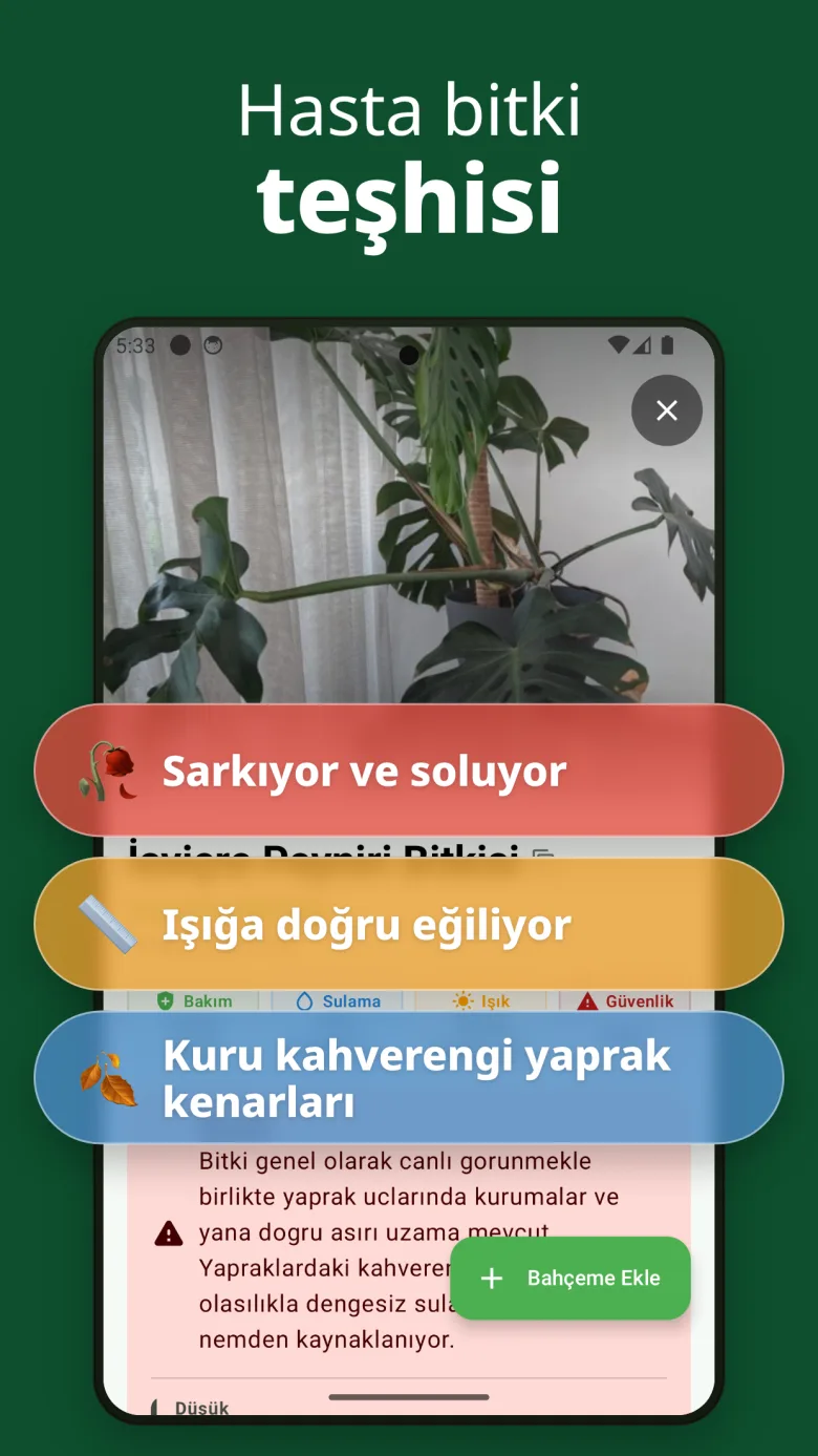 Zehirlilik bilgisi içeren ayrıntılı bakım rehberi