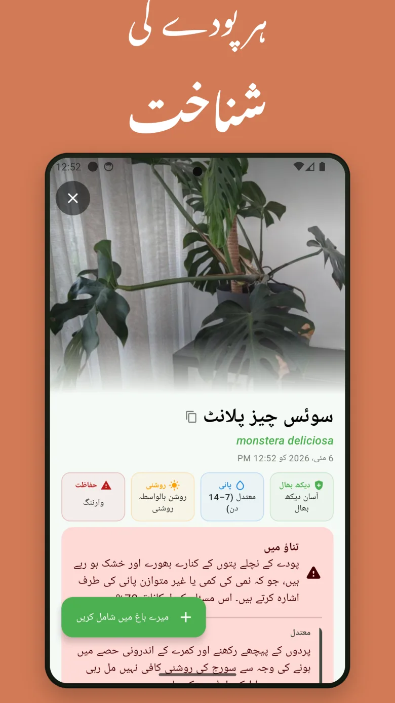 استعمال میں آسان — سیکنڈوں میں کسی بھی پودے کی شناخت کریں