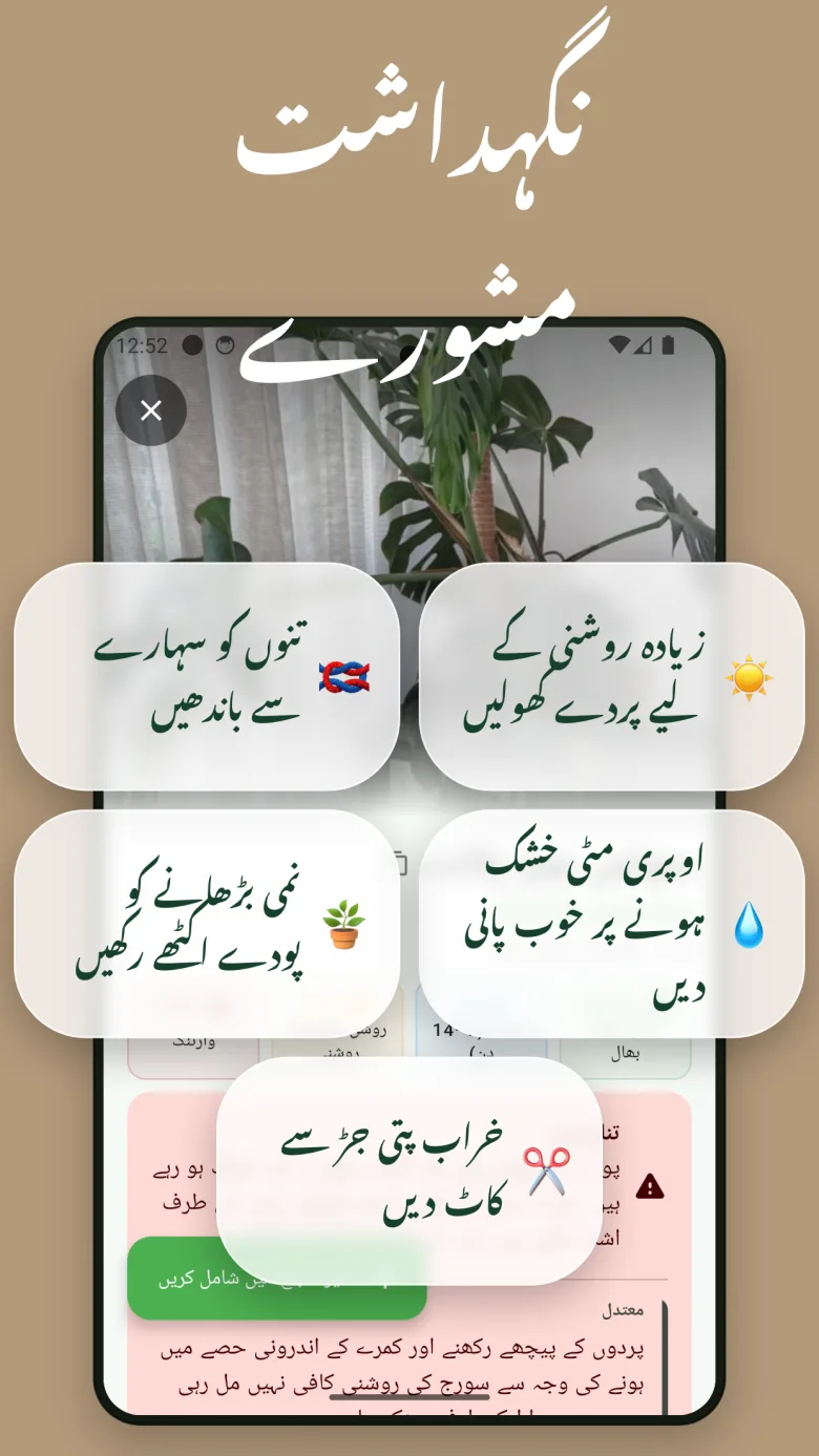 سکین ہسٹری سے پودے کی صحت کا جائزہ لیں