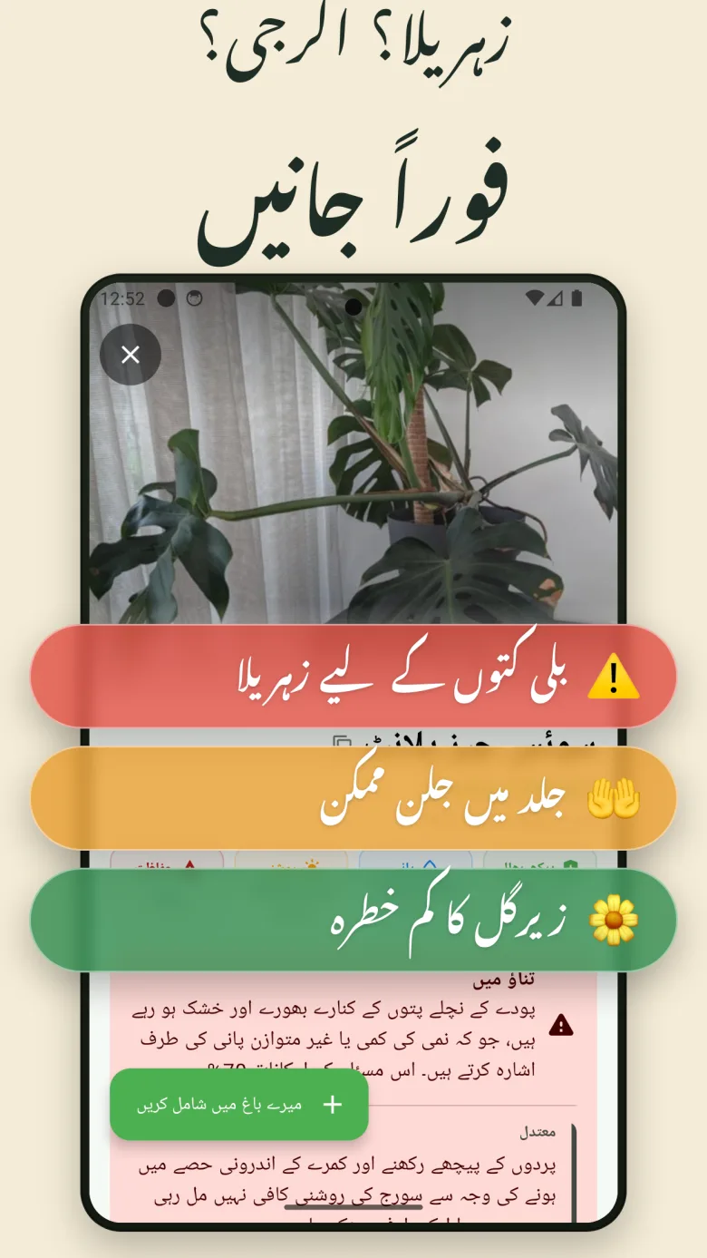 آپ کا ڈیجیٹل باغ