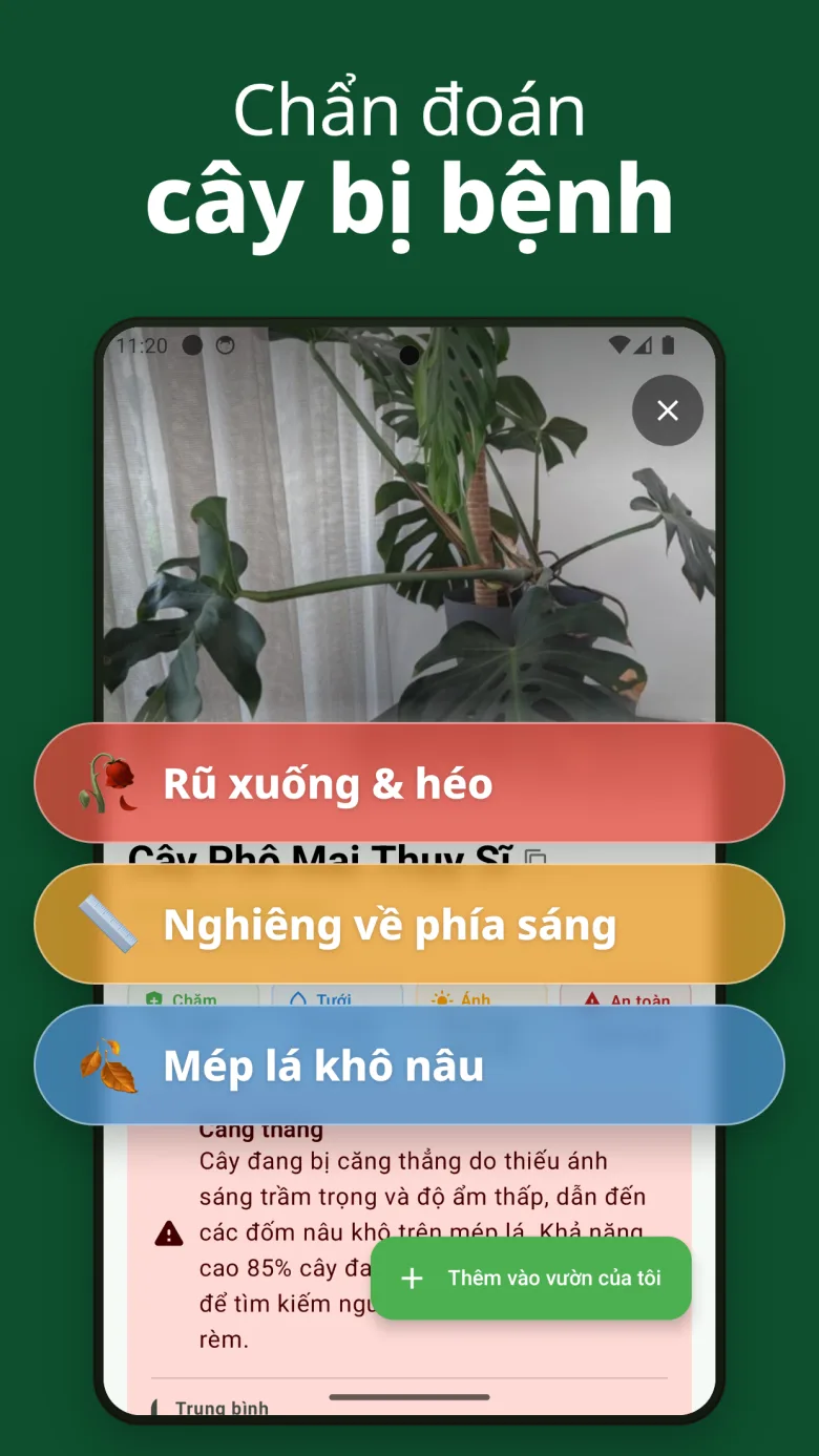 Hướng dẫn chăm sóc chi tiết với thông tin độc tính