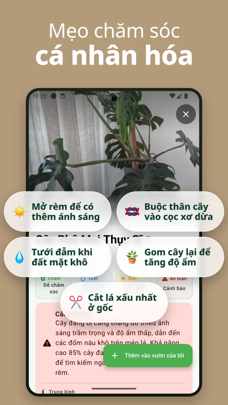 Theo dõi sức khỏe cây qua lịch sử quét
