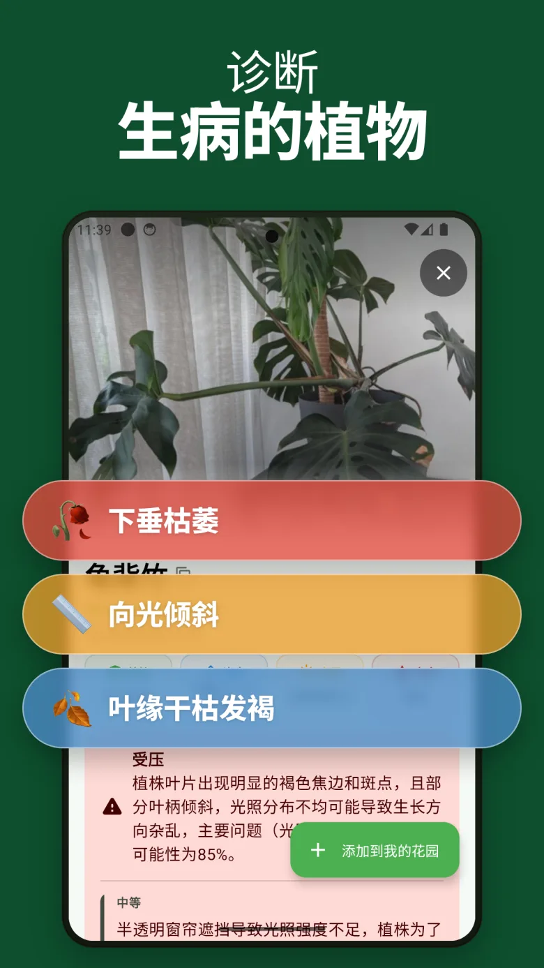 含毒性信息的详细养护指南