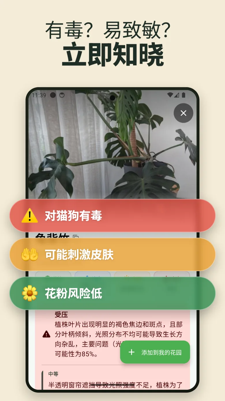 你的数字花园