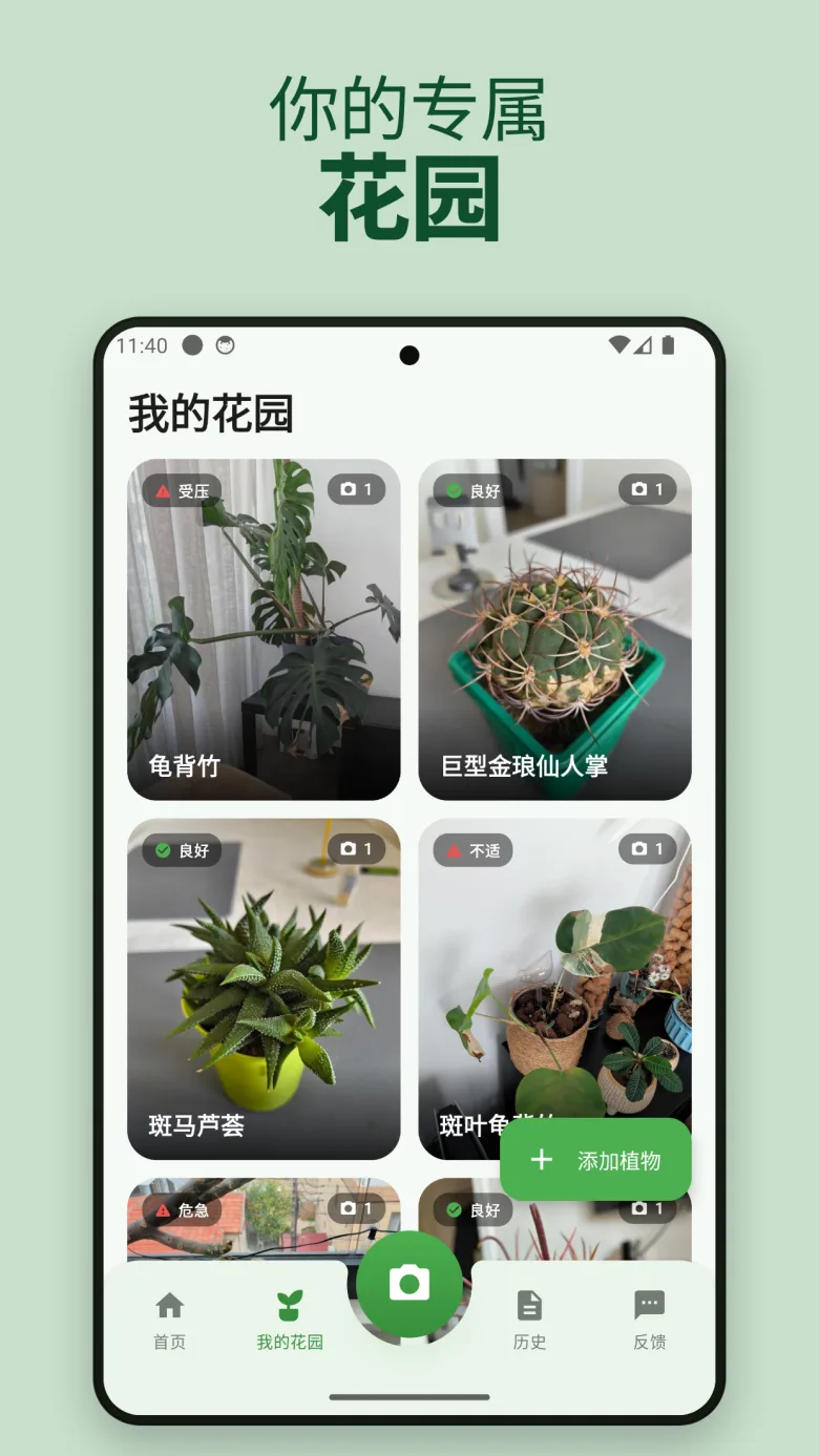 花园概览主屏幕