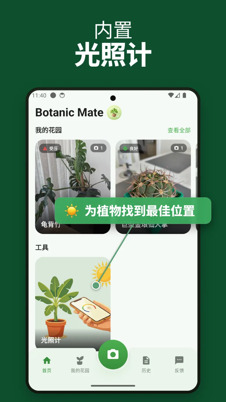今天就开始